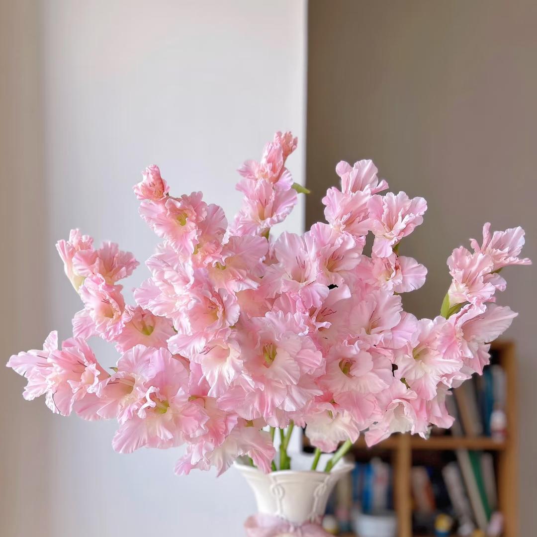 一伊生活鲜花