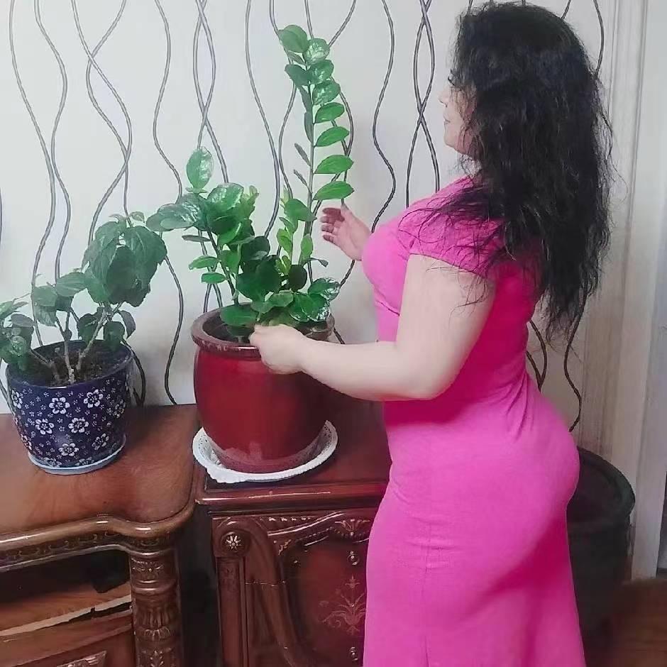 xakila 夏克拉