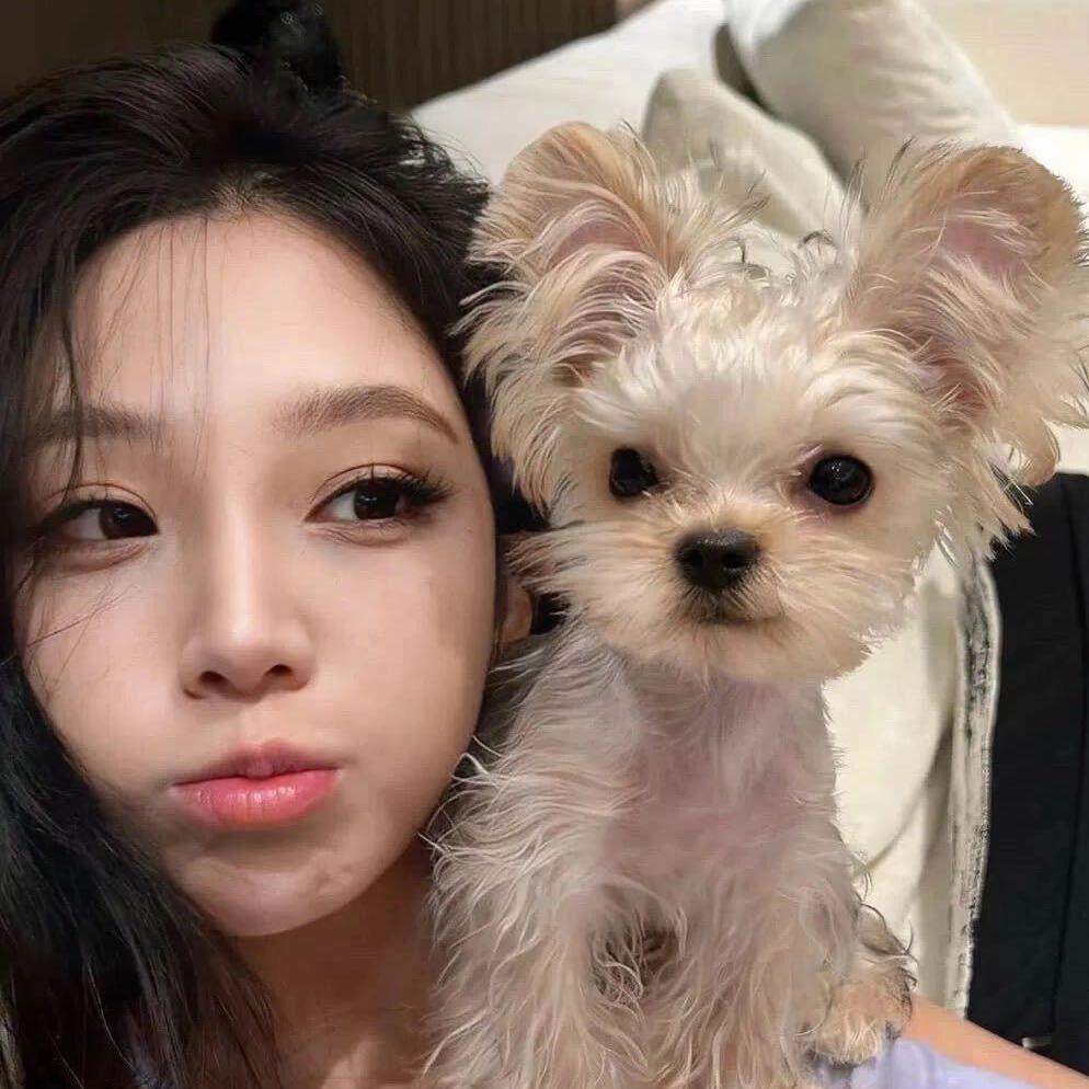 韩婷·美学（财财）