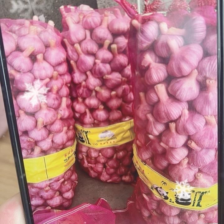 新农人小李哥