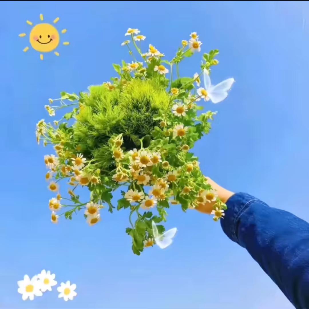 静水流年