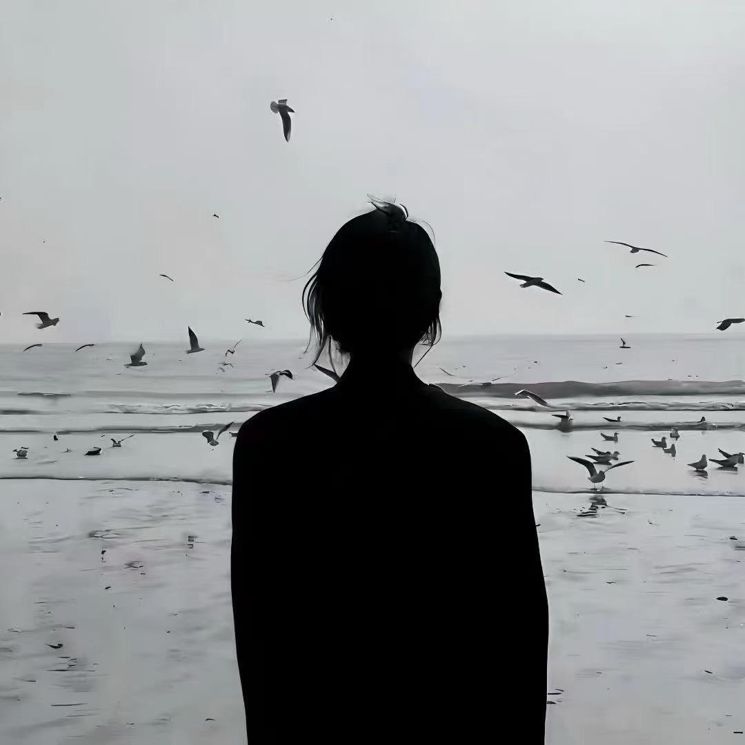 精选博主推荐