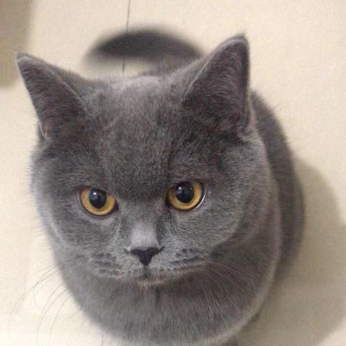 平淡