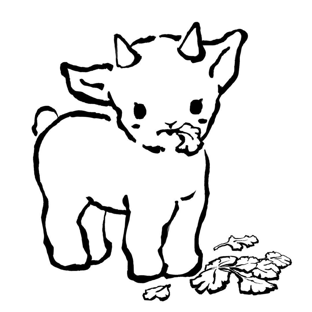 小羊睡不醒🐑