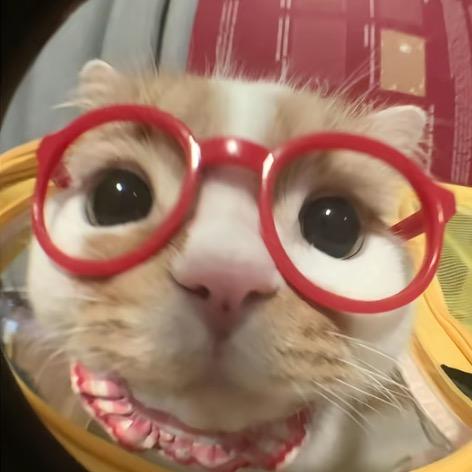 冰岛咖啡