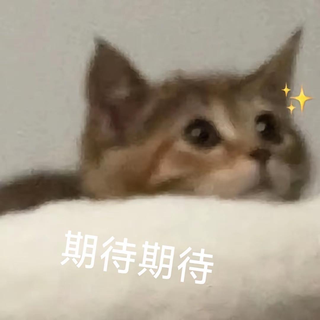 跟屁虫🐛