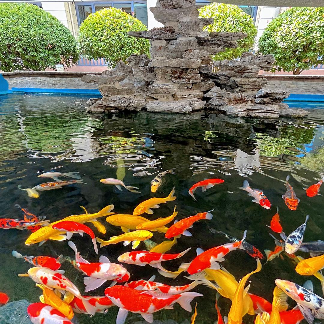山财大燕山学院直播天团