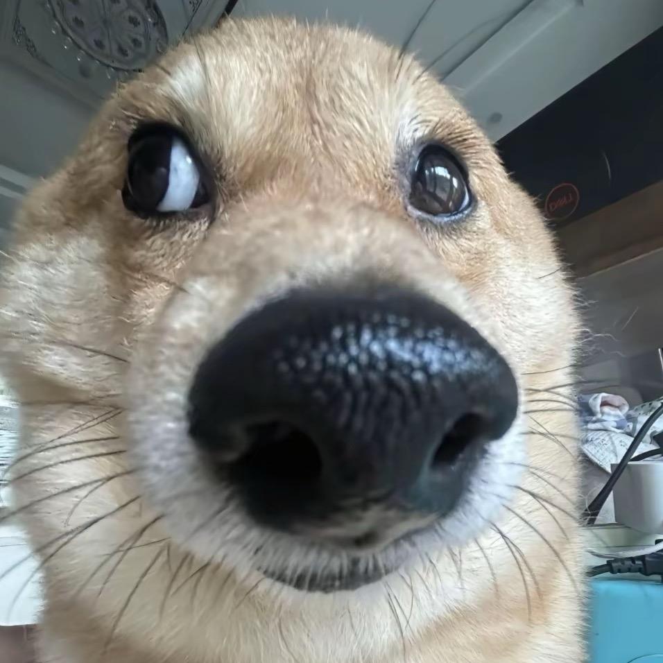 我要成为猛攻绝航天才少年