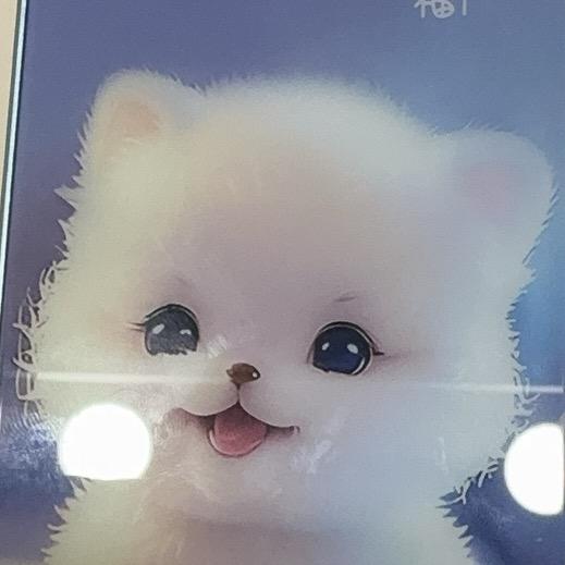 小九