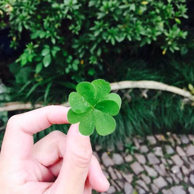 小王哥优选的头像