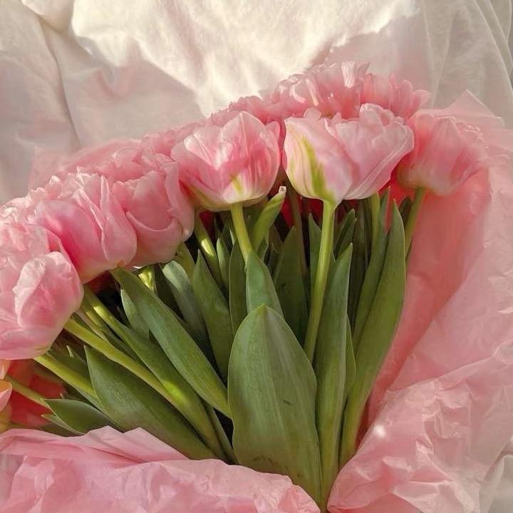 橙子不是唯一的水果