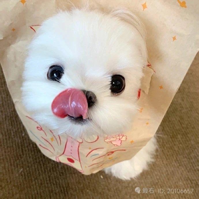 慢o