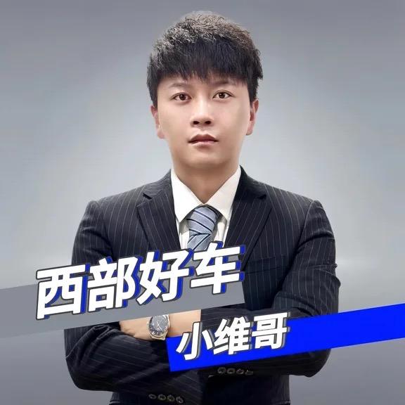 西部好车-小维哥