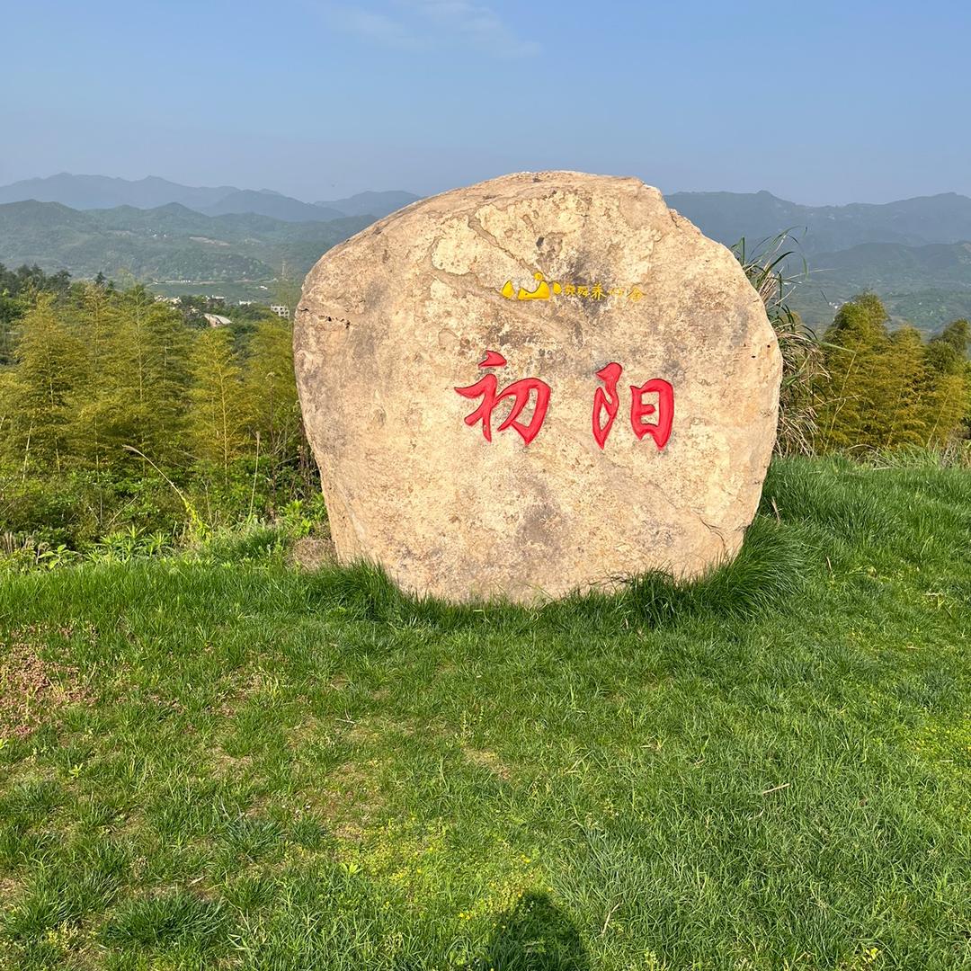 可乐