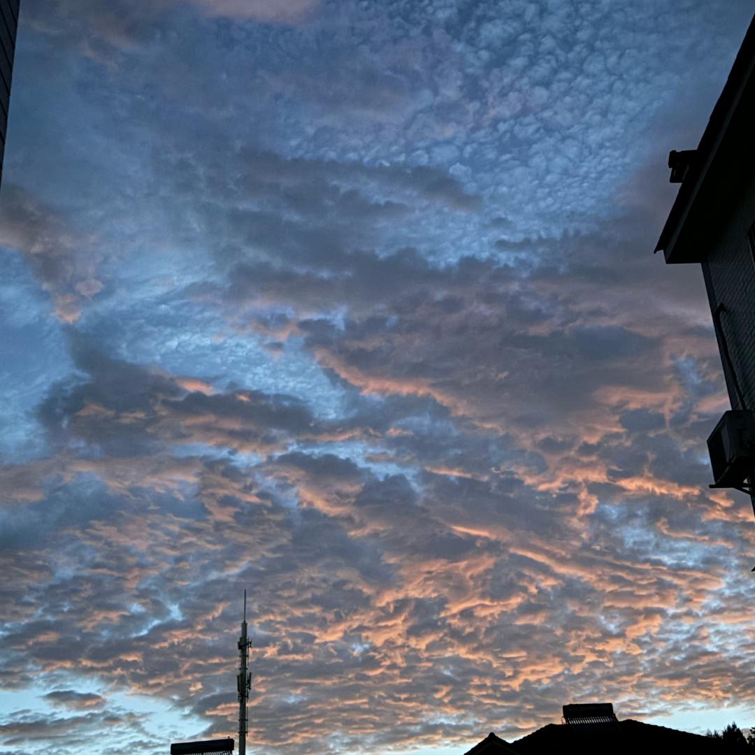佛系