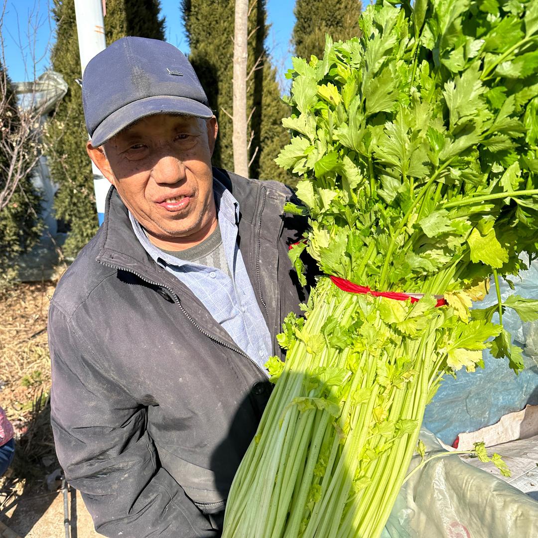胶姥娘青岛特产蔬果甄选