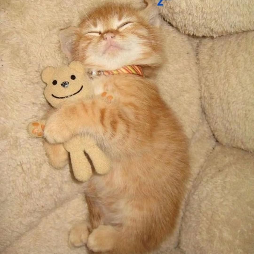 白开水也要喝全糖