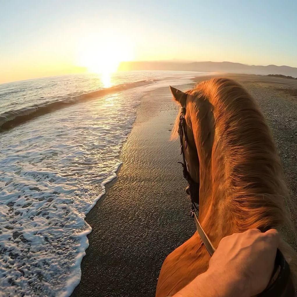 ئابدۇسەبىر🧿