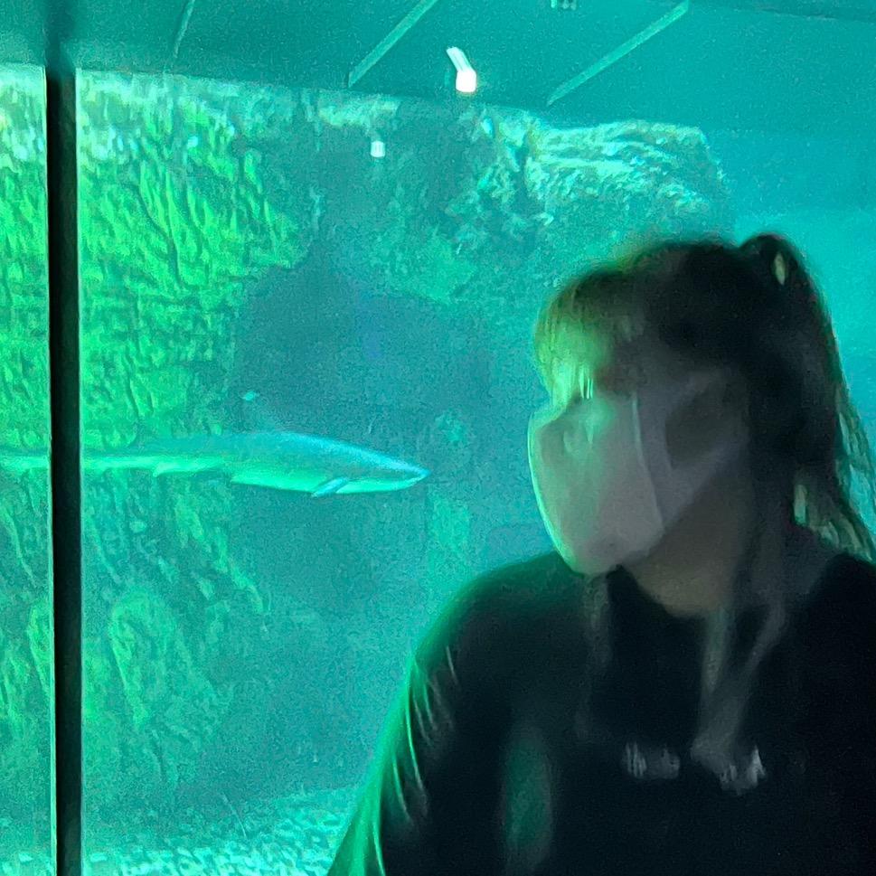 浓妙可嘉一
