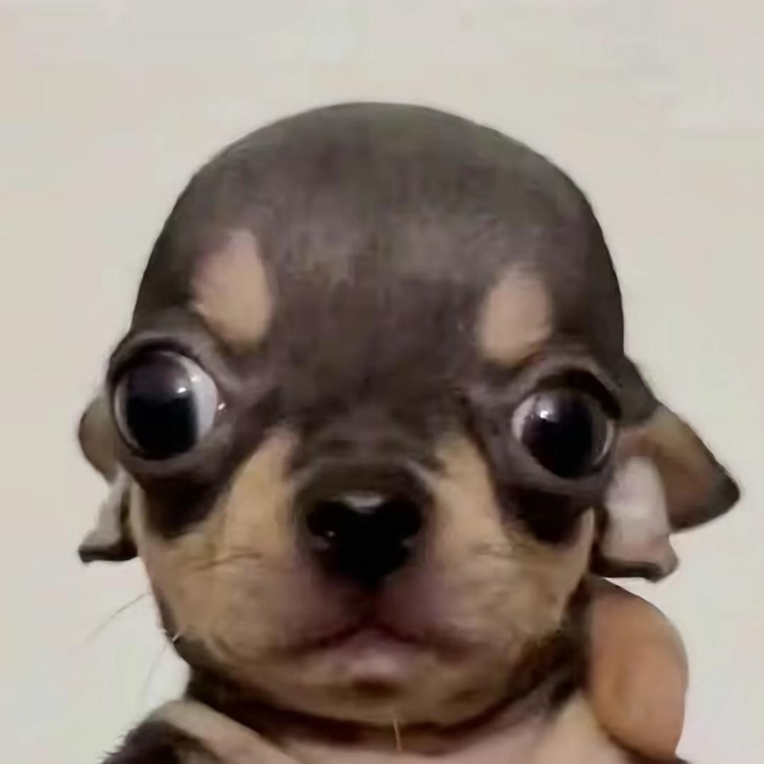 。。。。。。，