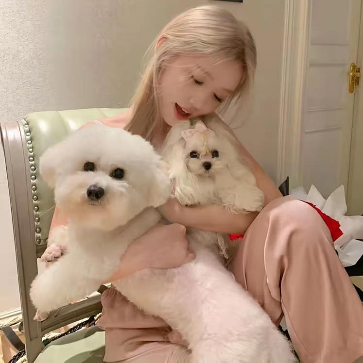 @懒洋洋