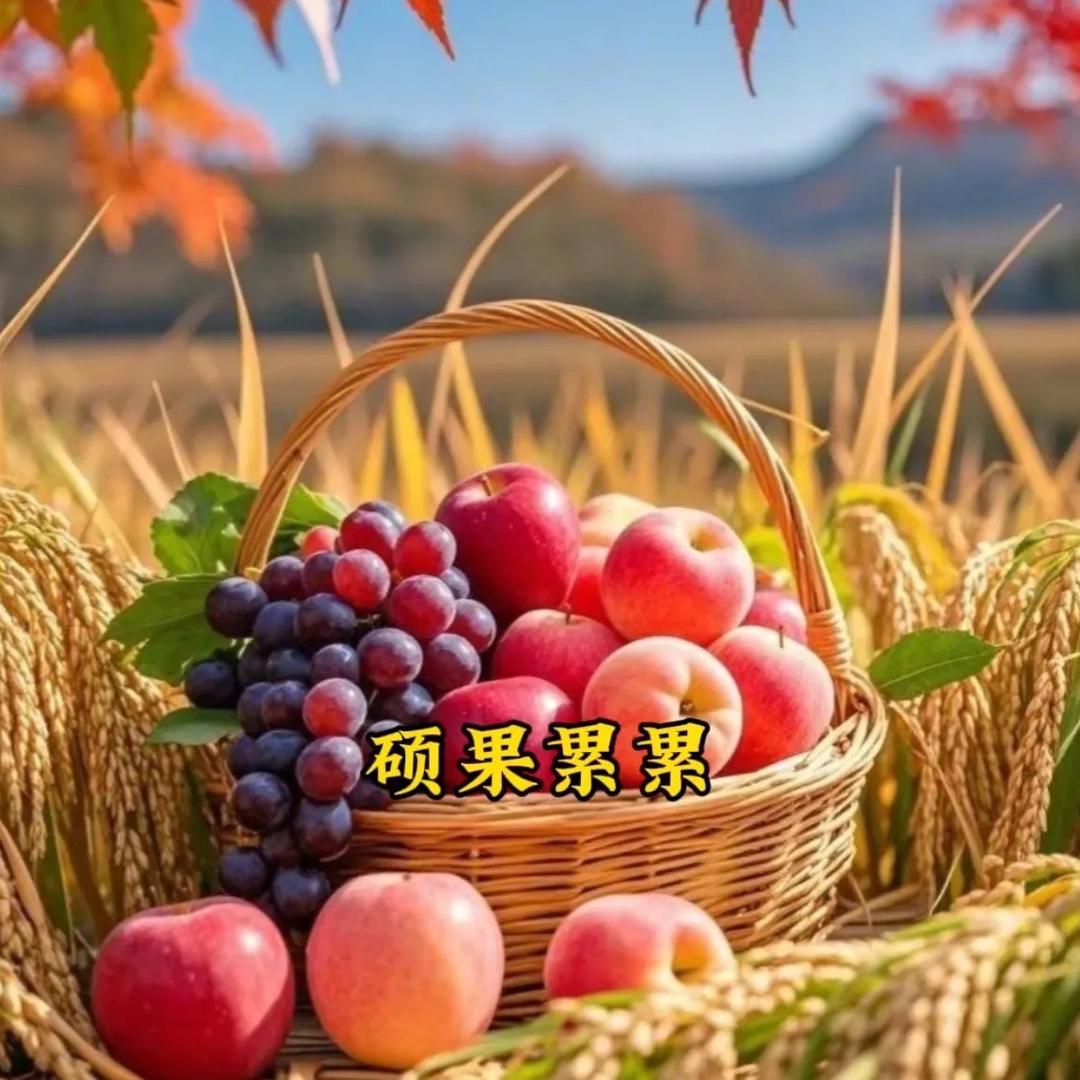元宝🥜🥜