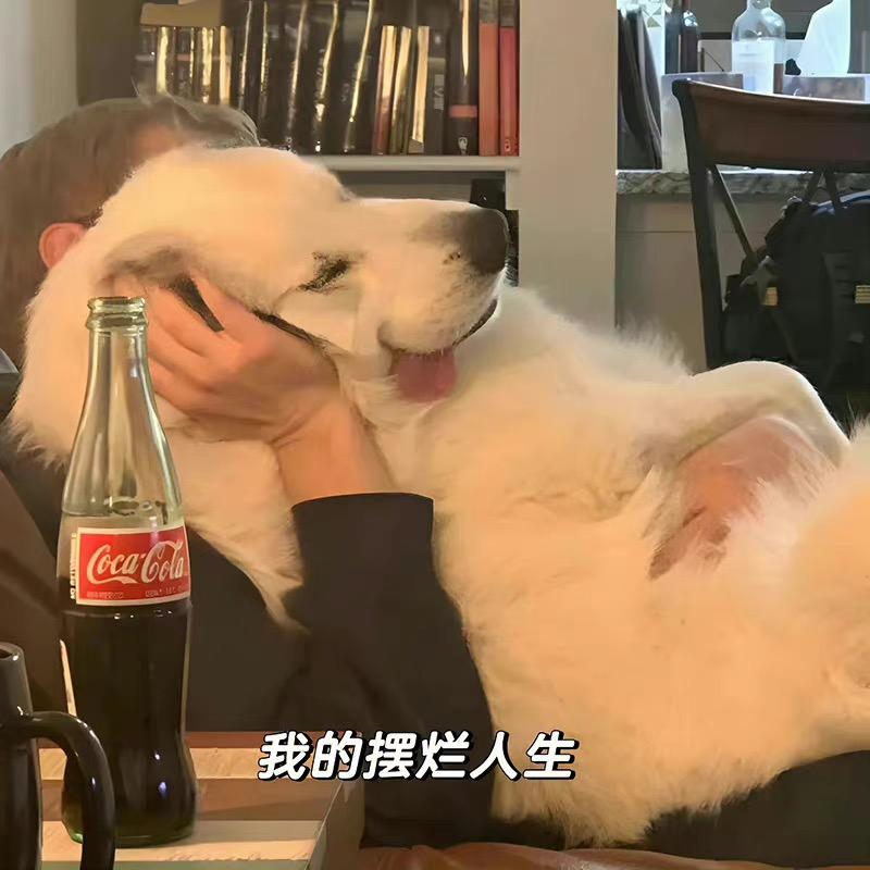 抚抚