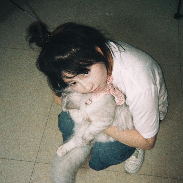肥槑keti