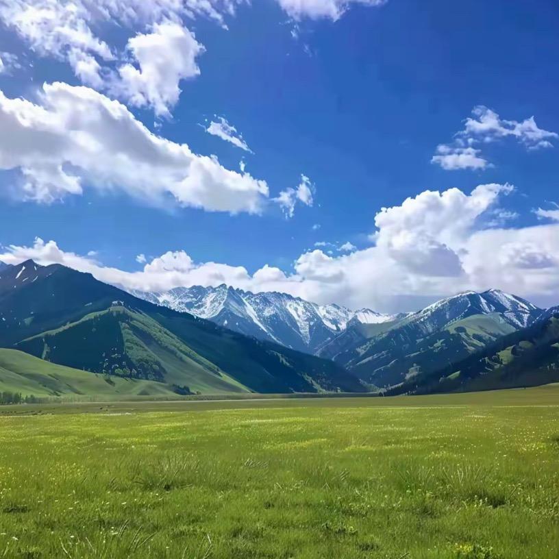 🍊🍊🍊🍌🍌🍌