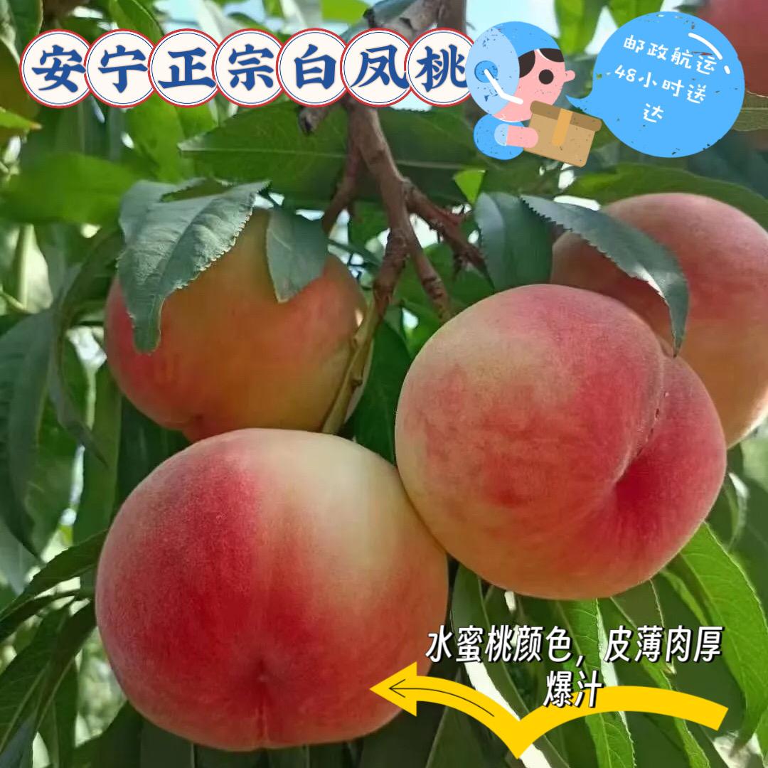 清风雅舍桃园