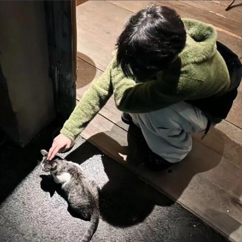 ꒦ິ^꒦ິ