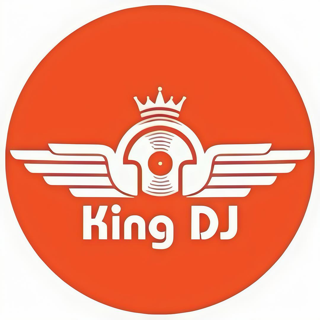 音响扛不住DJ