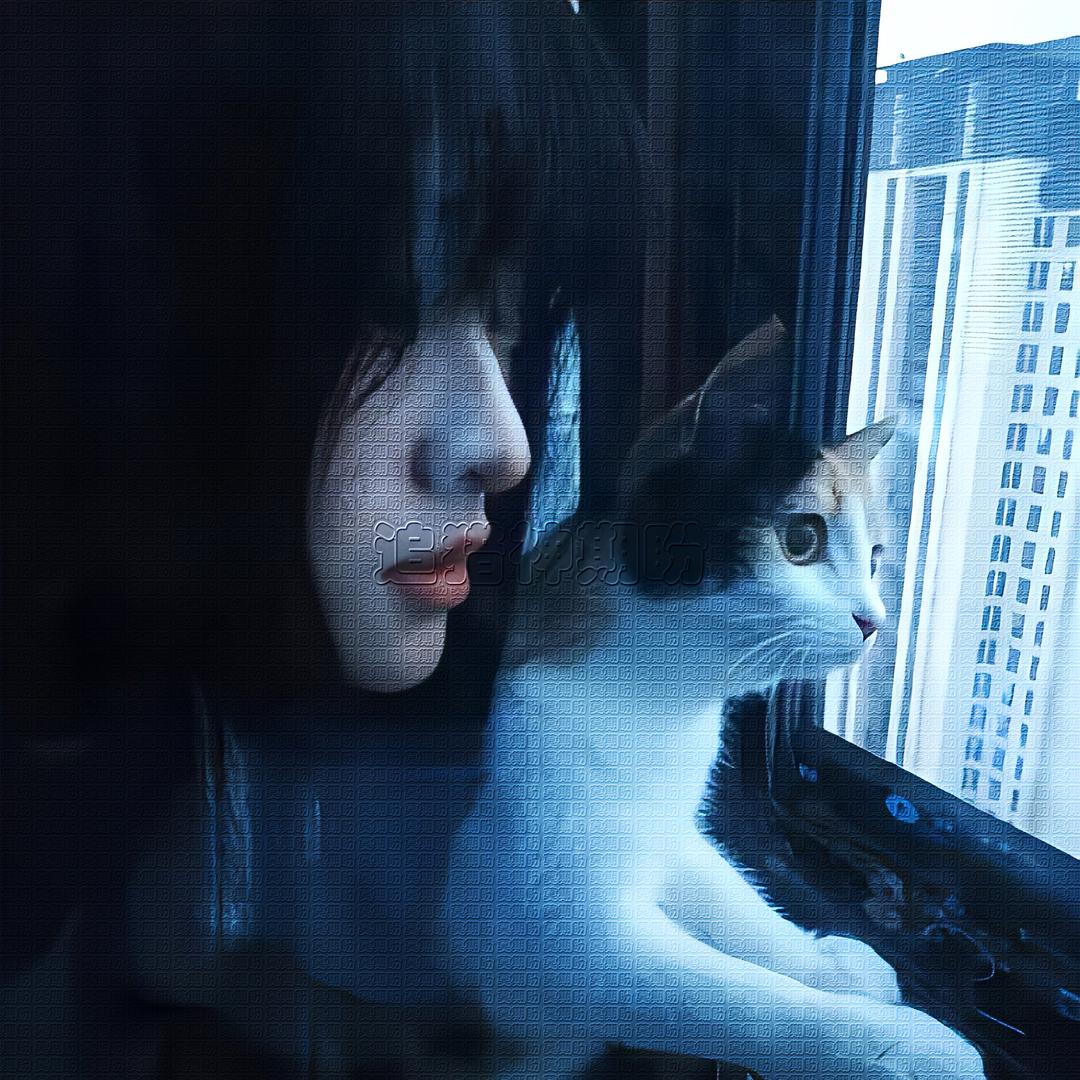 用户1202