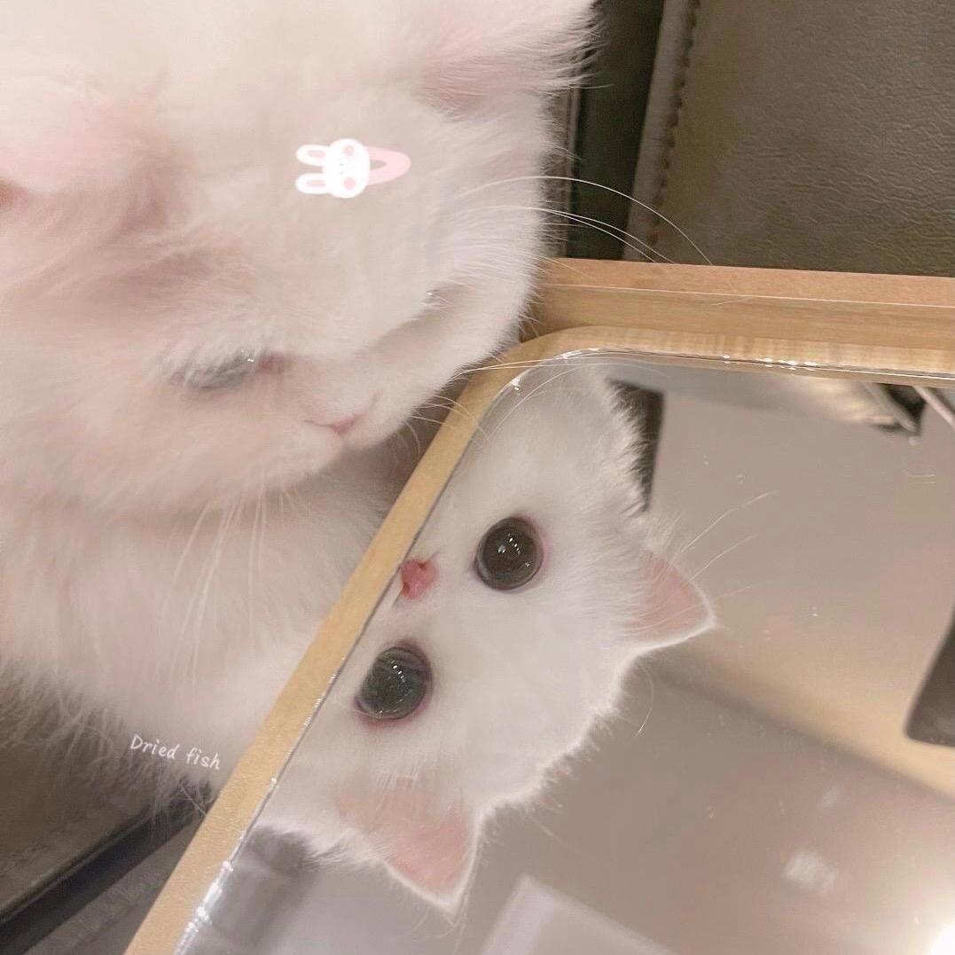 @同频