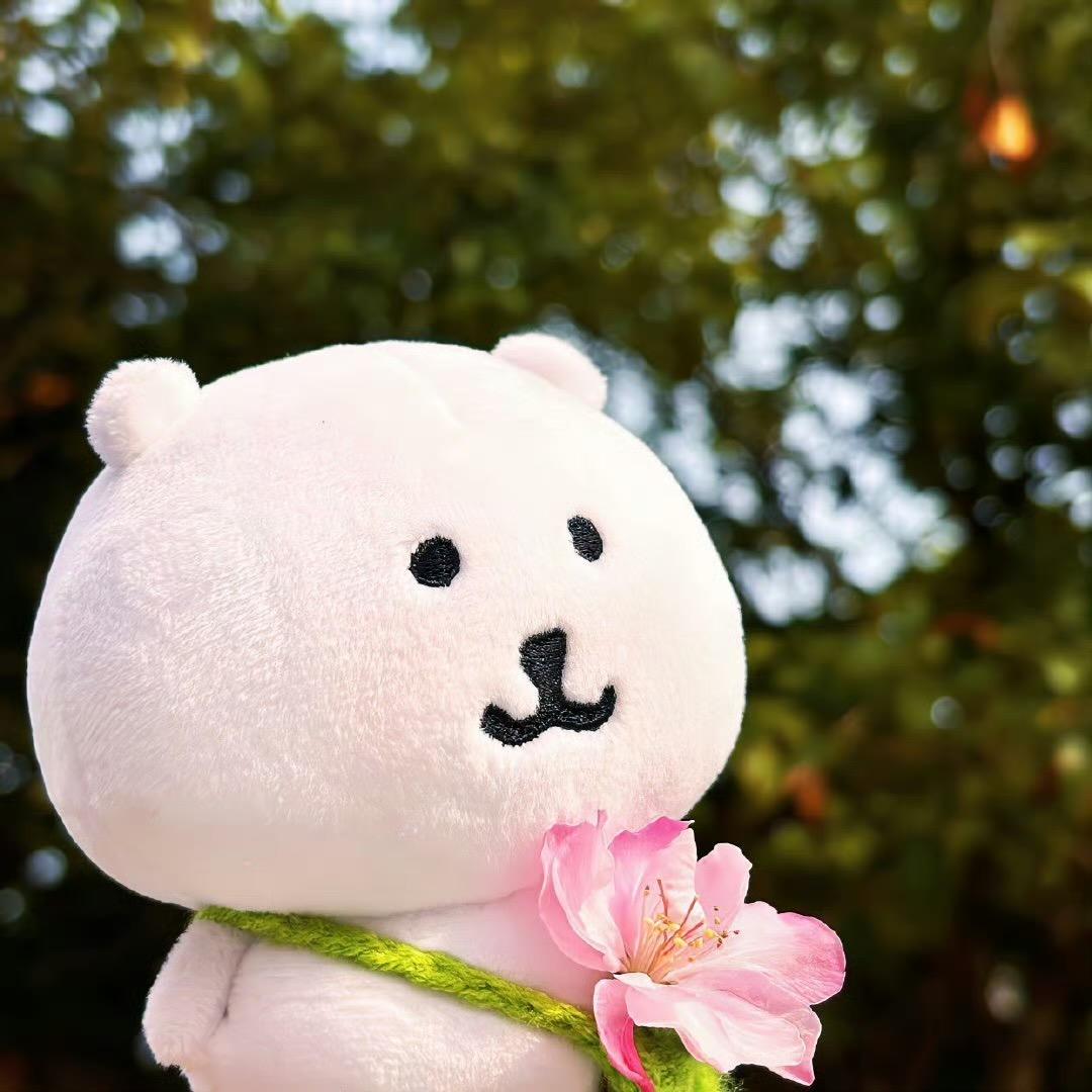 小余今天吃什么