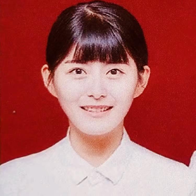 乡村辰辰养猪