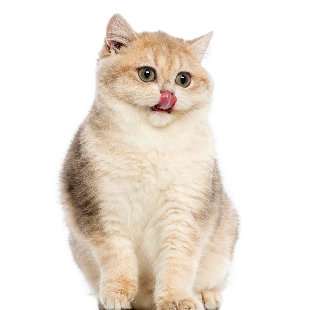 天蓝黑