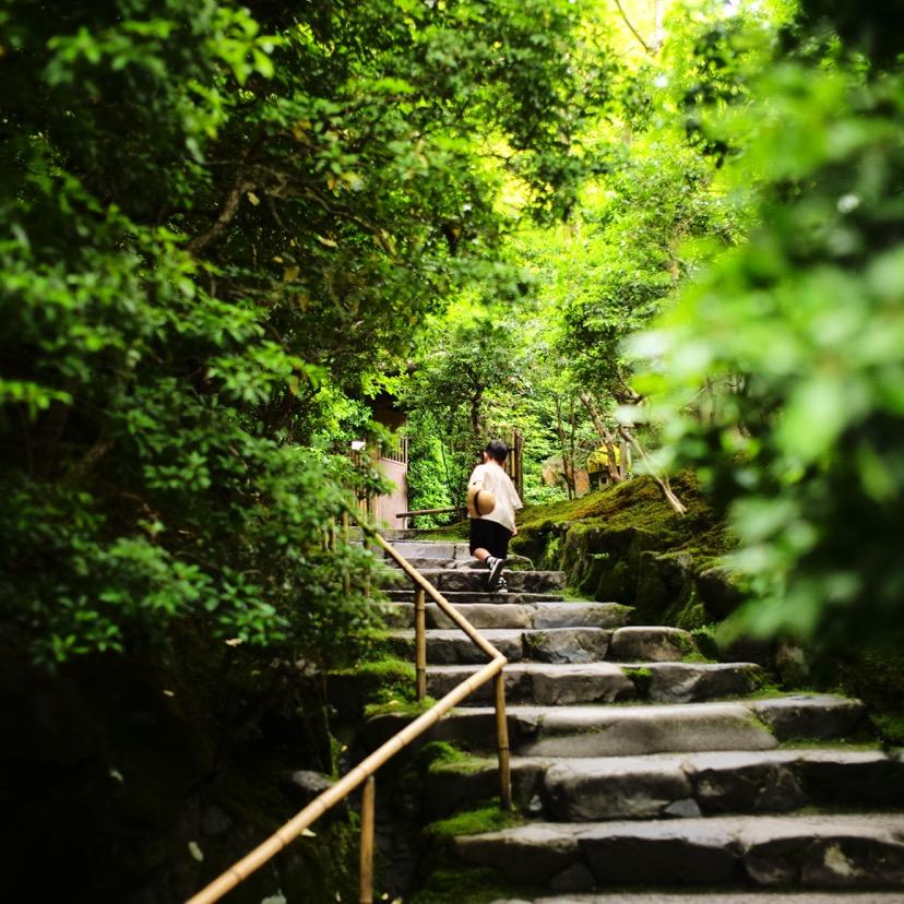 💋蚂蚁爱吃肉🍑