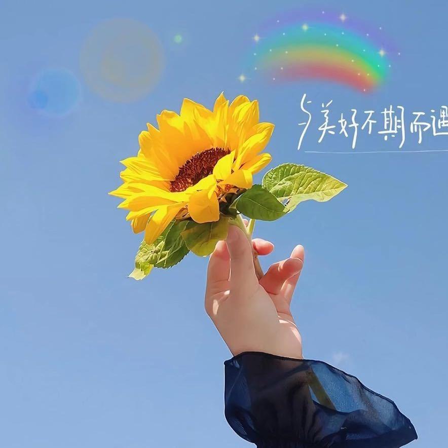 六壹幼儿园