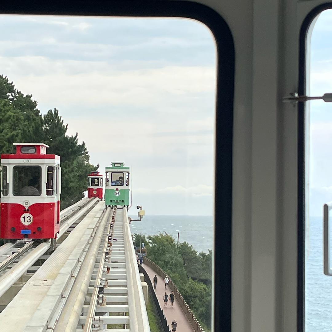 喂喂喂系阿花🌸啊