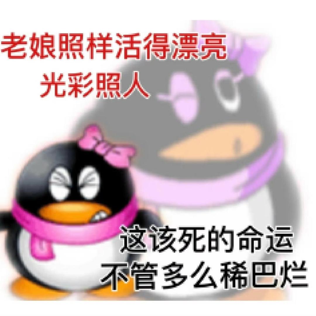 摸鱼菲弹