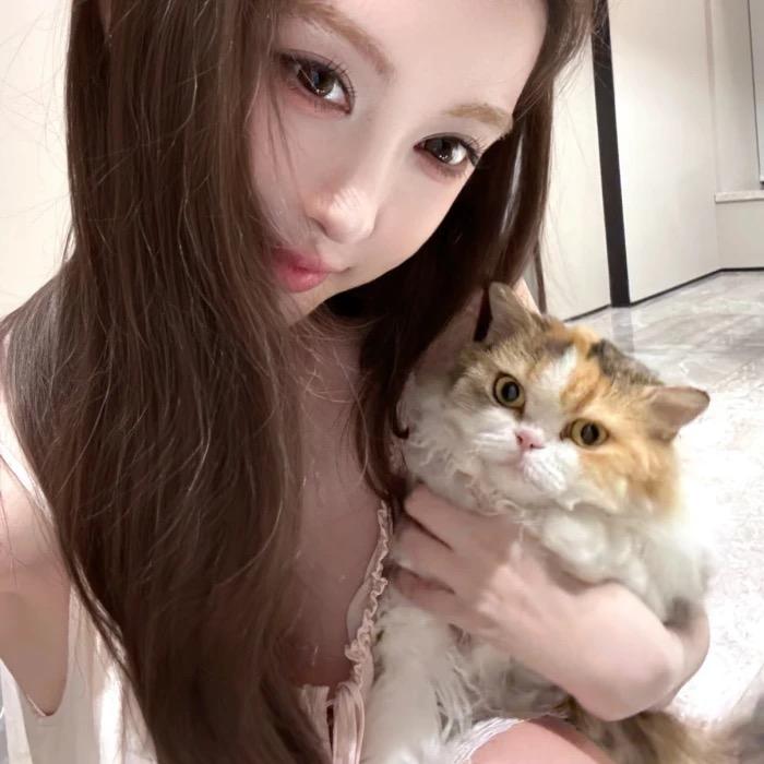 旧纸箱