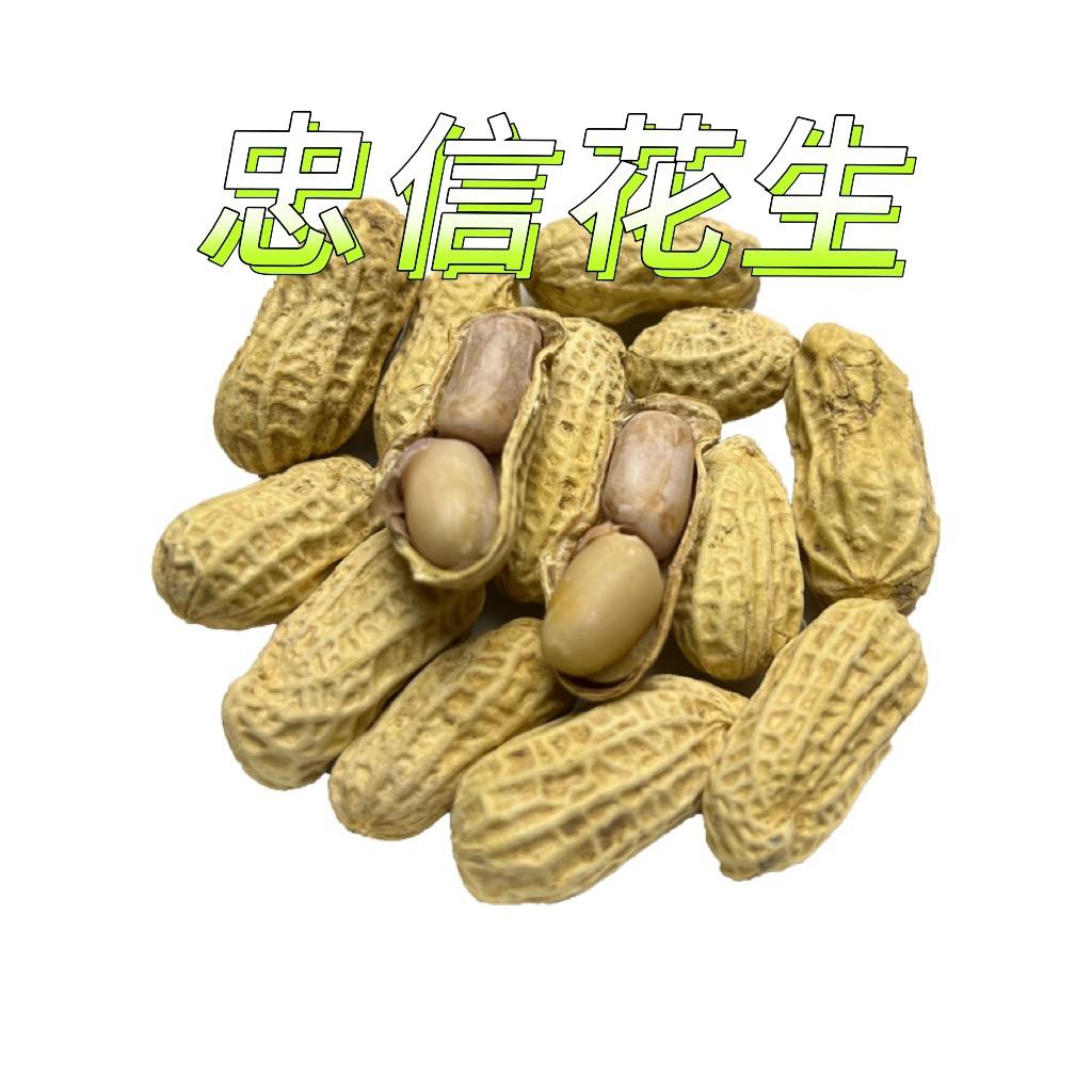 绿斛康忠信花生