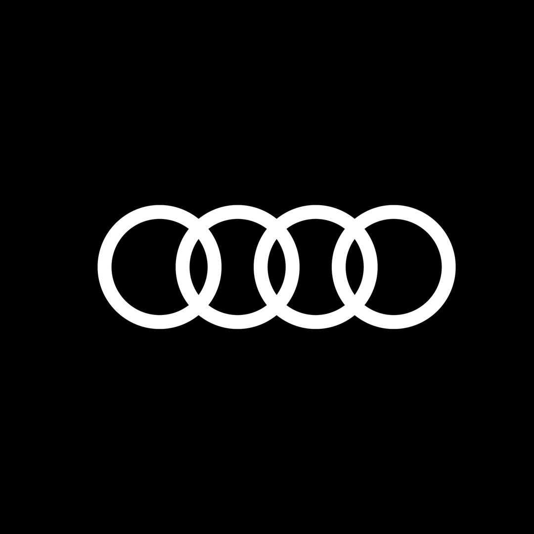 信达国贸奥迪·厦门大邦