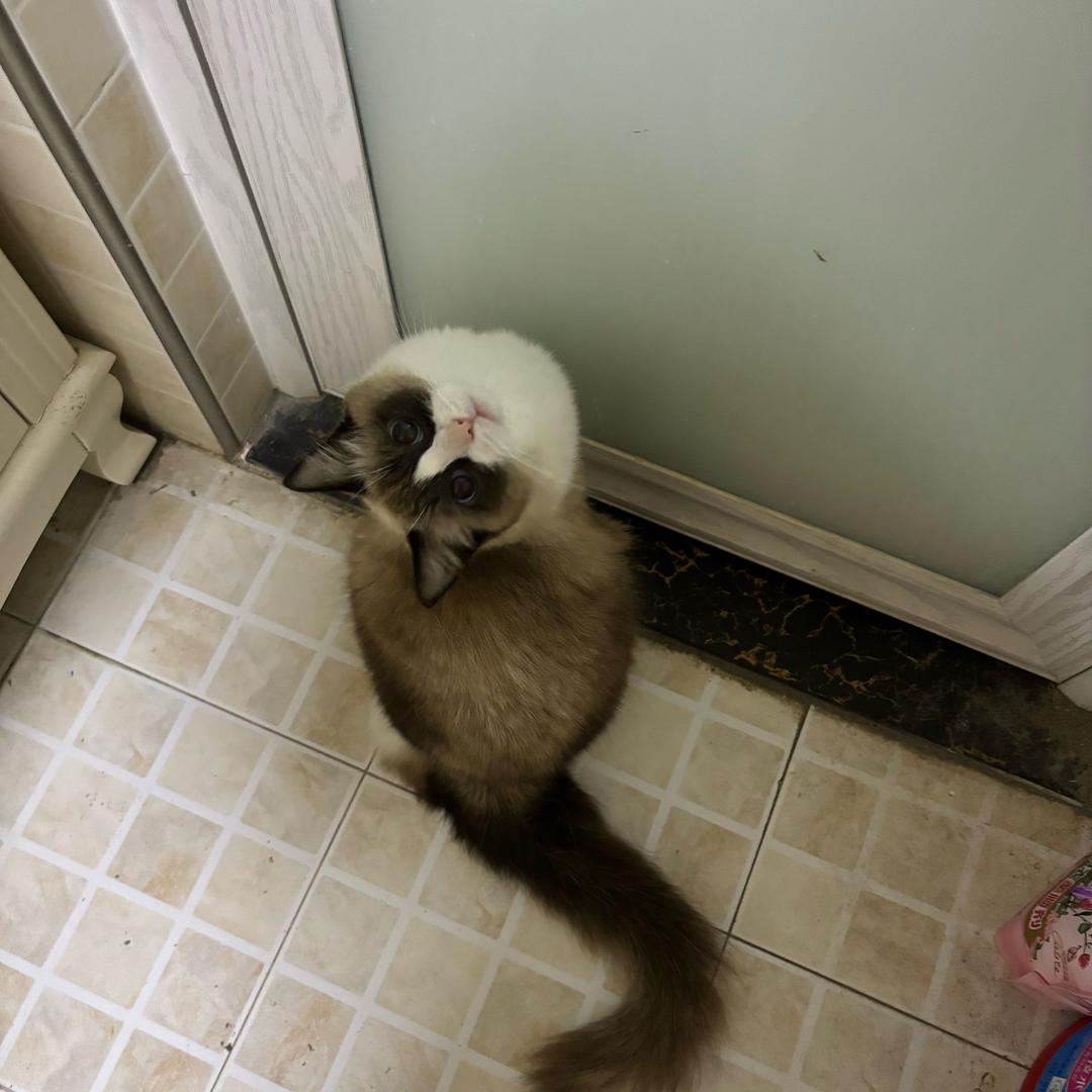 尼 总.