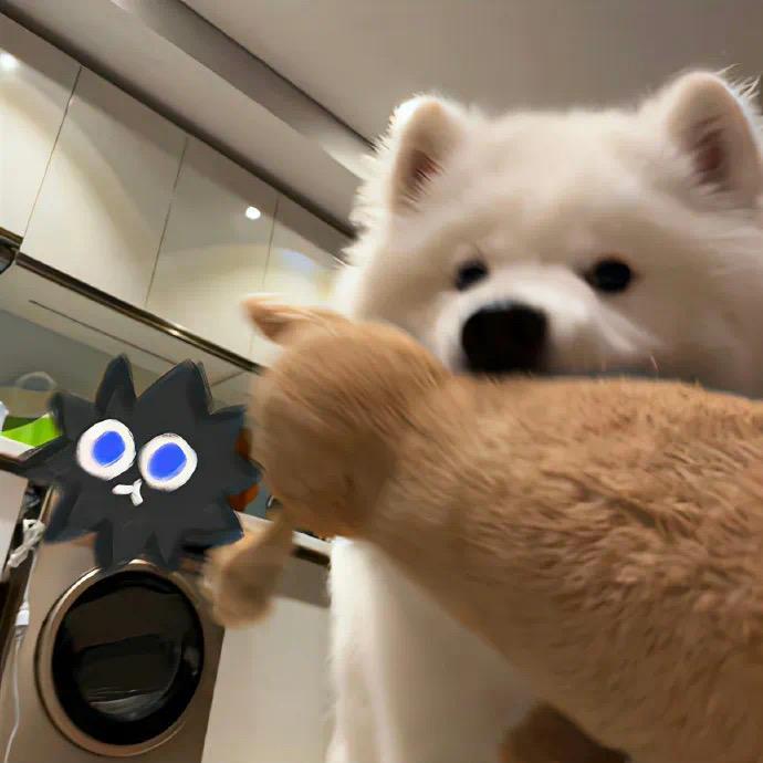 𝙨𝙨𝙮𝙚