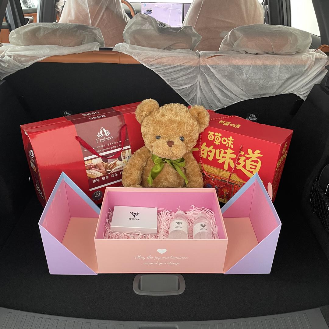 武汉哪吒汽车厂家团购店