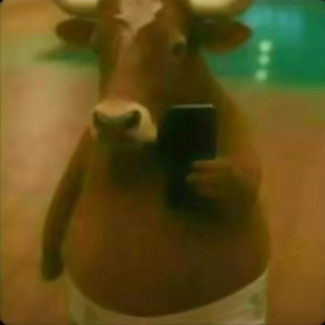 栗子233