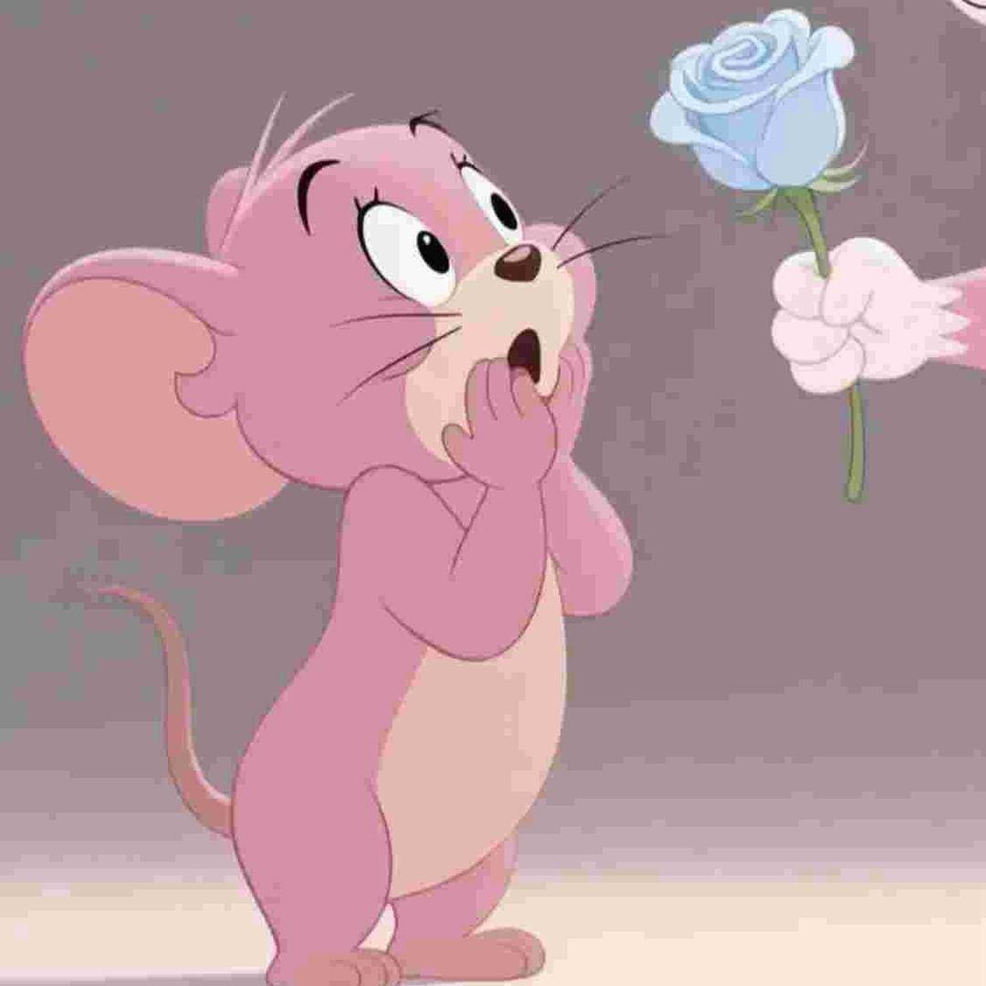 吉(●—●)宁晨欢