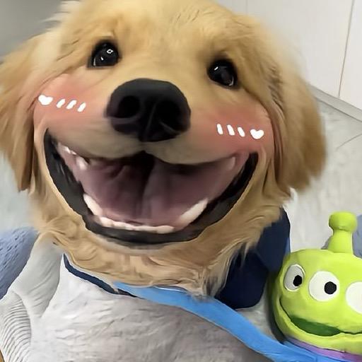 🌈宇宙第一甜狗